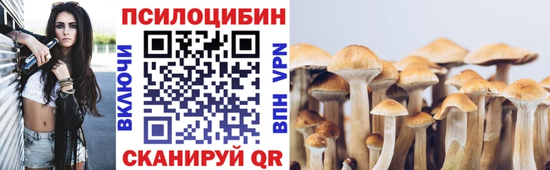 Псилоцибиновые грибы MAGIC MUSHROOMS Астрахань