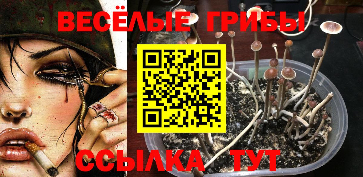 МАРИХУАНА  ГАШИШ  Вход с VPN  Астрахань  Меф МЯУ МЯУ кристаллы  Кетамин 